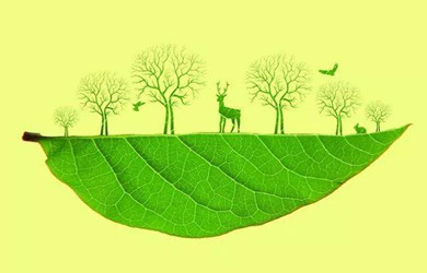 世界無車日|微行生活，綠色出行